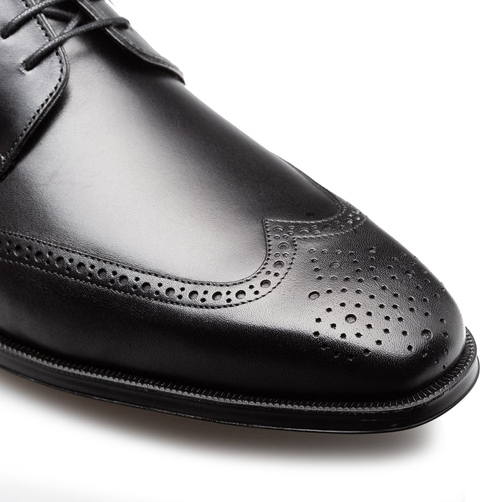 Tasso Wing Tip Derby